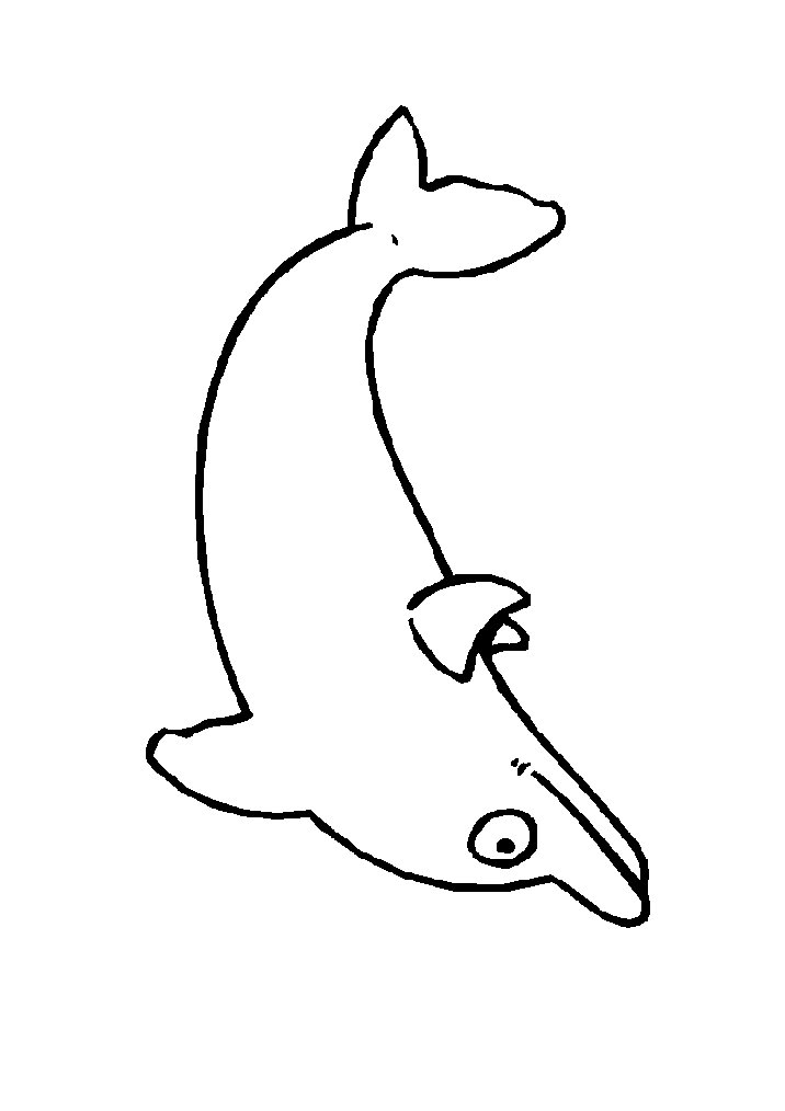 Dolfijn15.gif