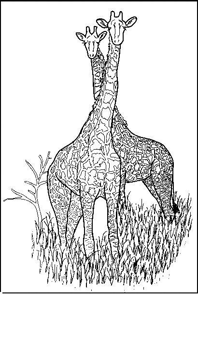 Giraffe01.gif