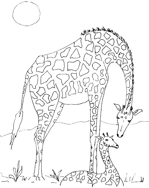 Giraffe05.gif