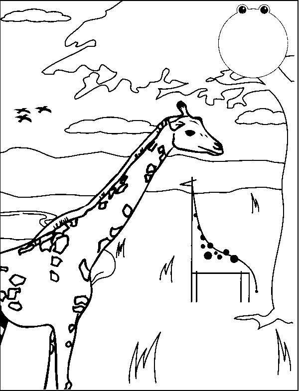 Giraffe13.gif