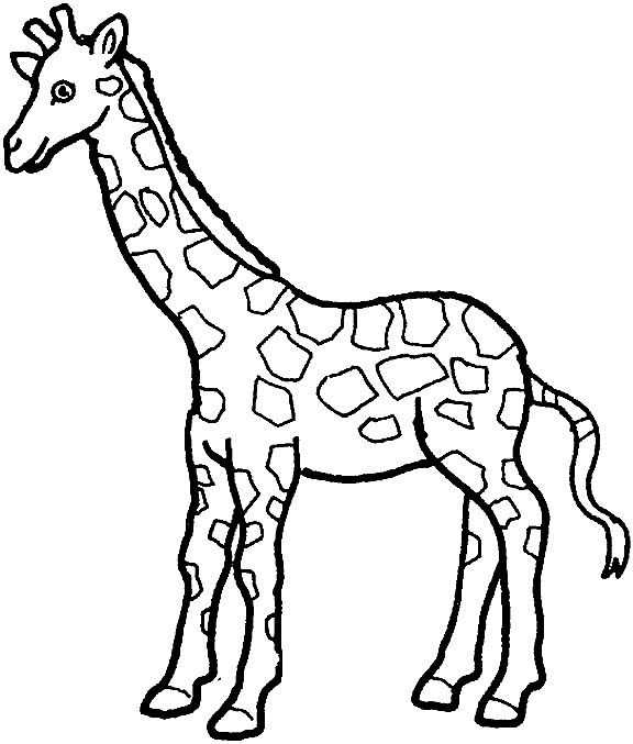 Giraffe14.gif
