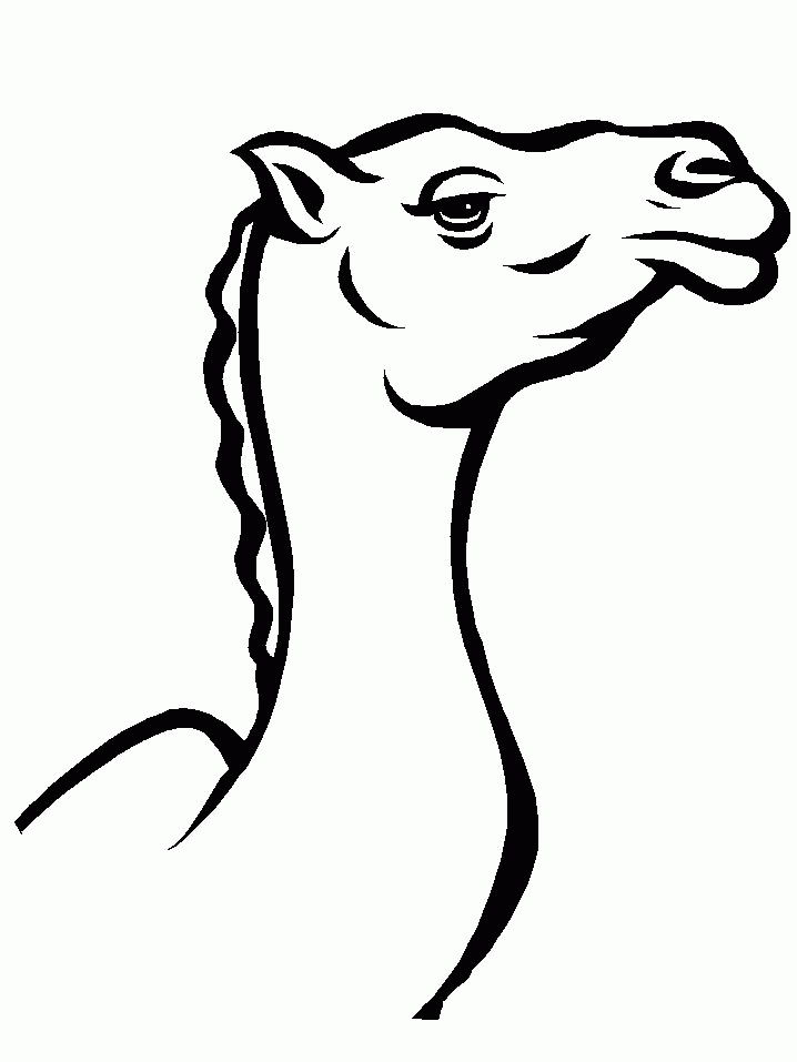 Kamelen_10.gif