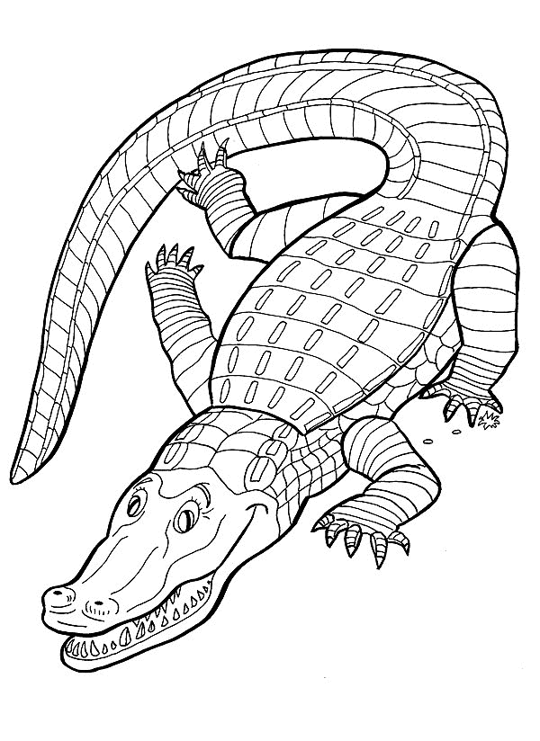 Krokodil01.gif