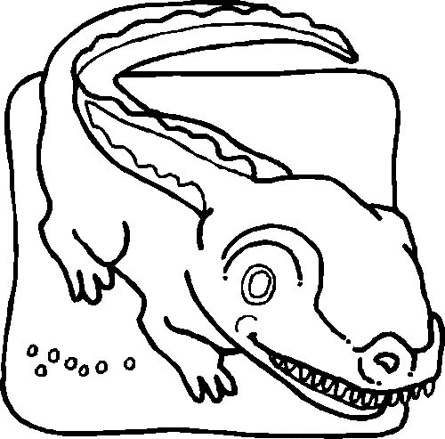 Krokodil04.gif