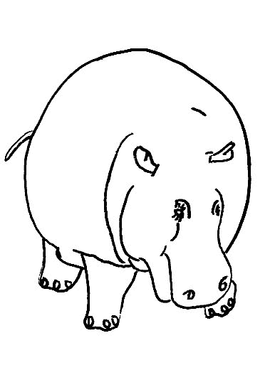 nijlpaard05.gif