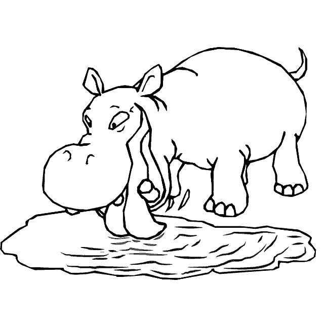 nijlpaard12.gif