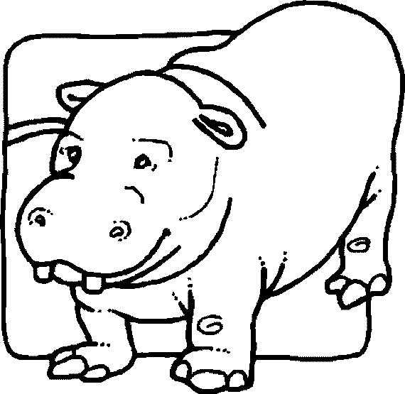 nijlpaard17.gif