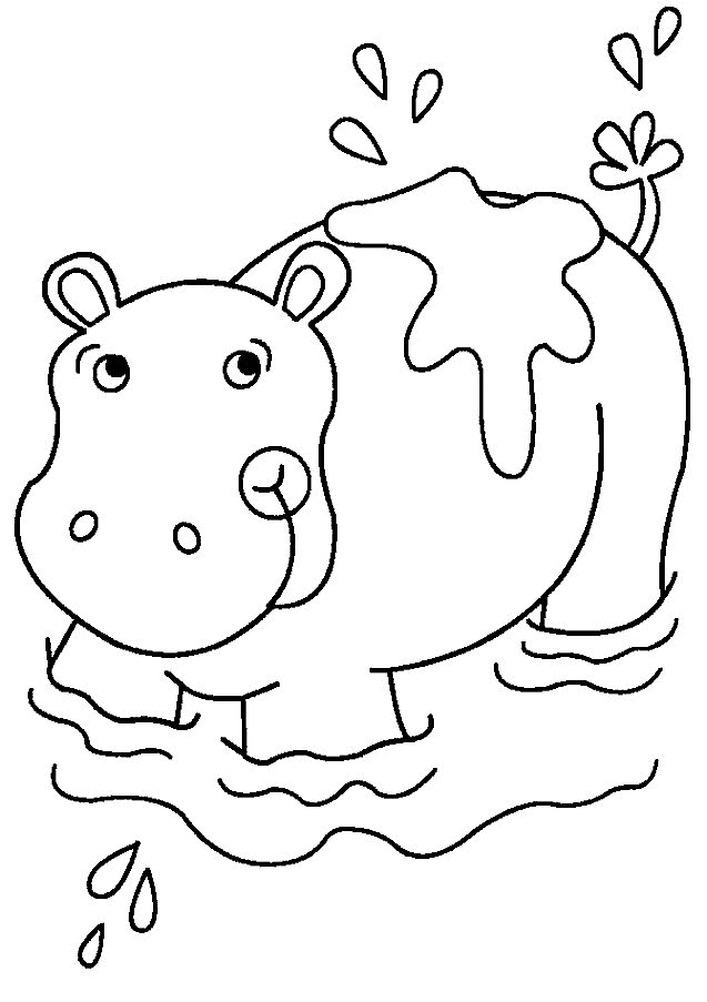 nijlpaard18.gif