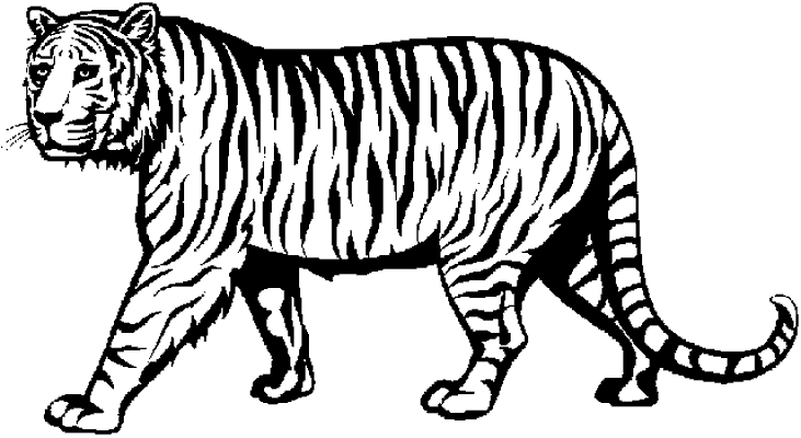 tijger1.gif