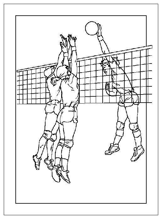 volleybal.gif
