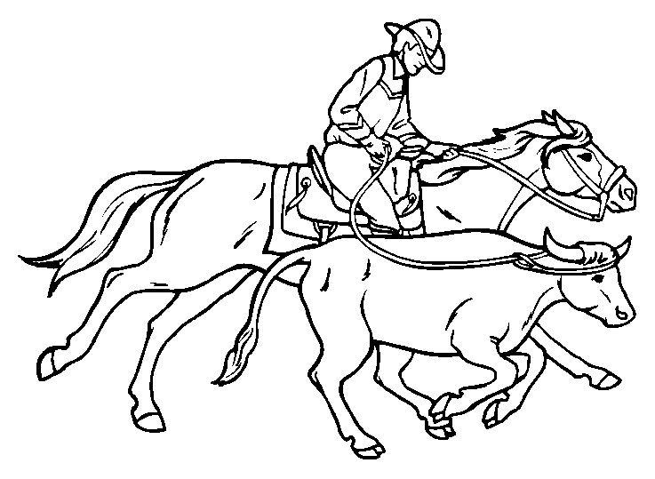 cowboy-paard.gif