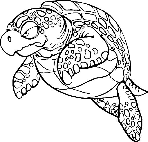 Schildpad04.gif